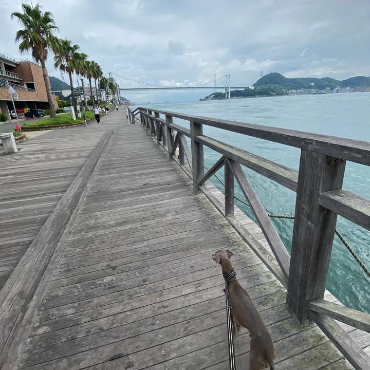 D3d36f97 d276 4998 b324 6279cc517d68 1759021635757