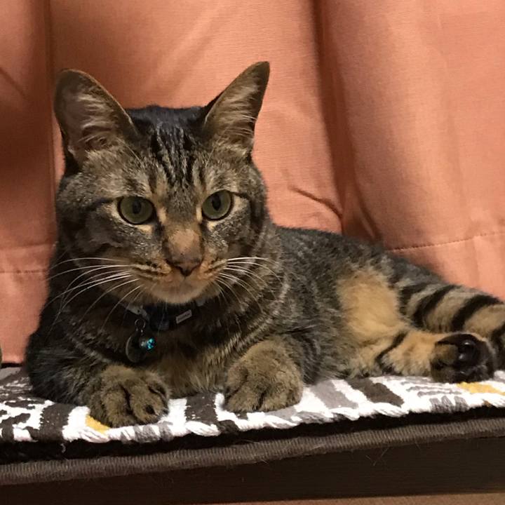 D3d373cb ed0b 4e76 9ca6 90cc49c1ee00 1564236026236