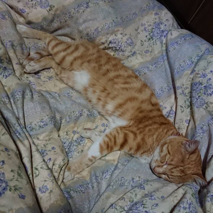 D3d39f41 229d 4de6 b240 e3c3ef436e25 1563718253891