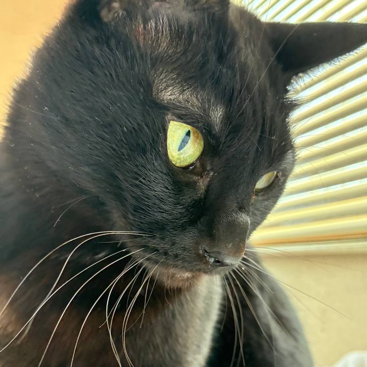 D3d3cd4c 74b1 46d6 8c3b 4002b9c287fa 1771936743113