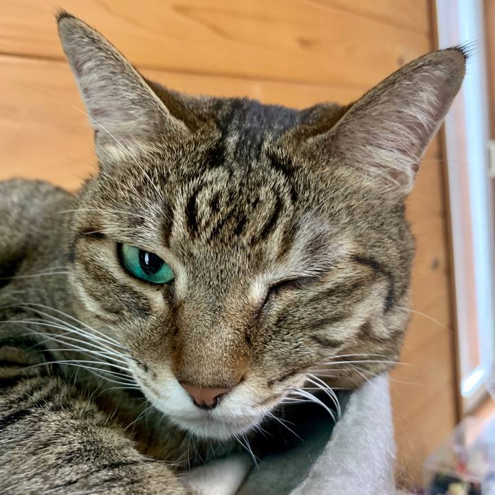 D3d3dd8d f92e 43a8 9d47 b22bd3e011ed 1601691151050