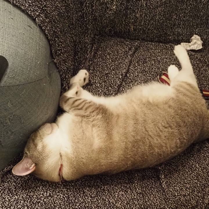 D3d3dfed 0dc2 4d0c 89d9 f689c2e99249 1625716153500