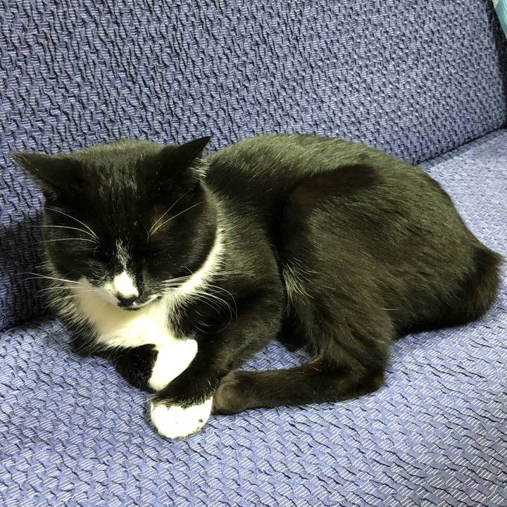 D3d3ffa9 c773 4382 9956 179ab1c5baa1 1639625968034