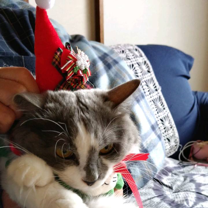 D3d422c9 b944 420d 8ae5 dee026176093 1606028700356