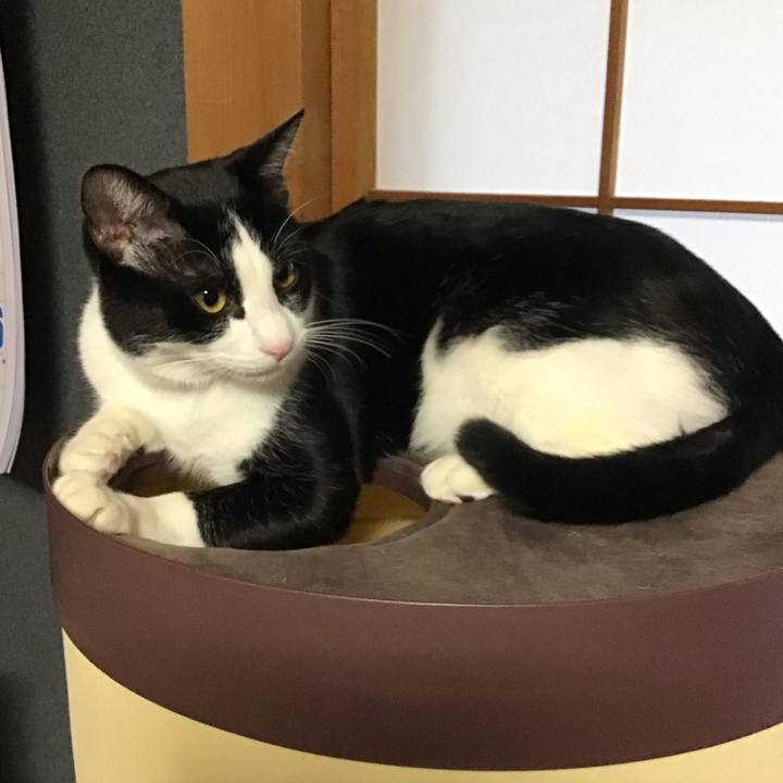 D3d4414c 38a3 4d8e 8b8a 54729b37399c 1644976187867