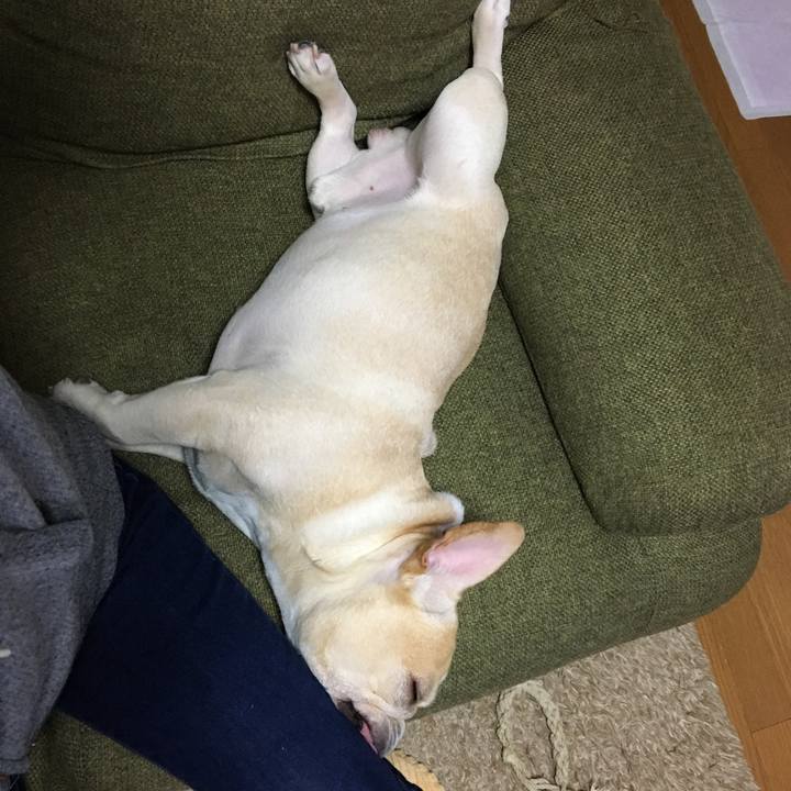 D3d4462f 116c 4510 b22a 66bff02d530e 1514974487552