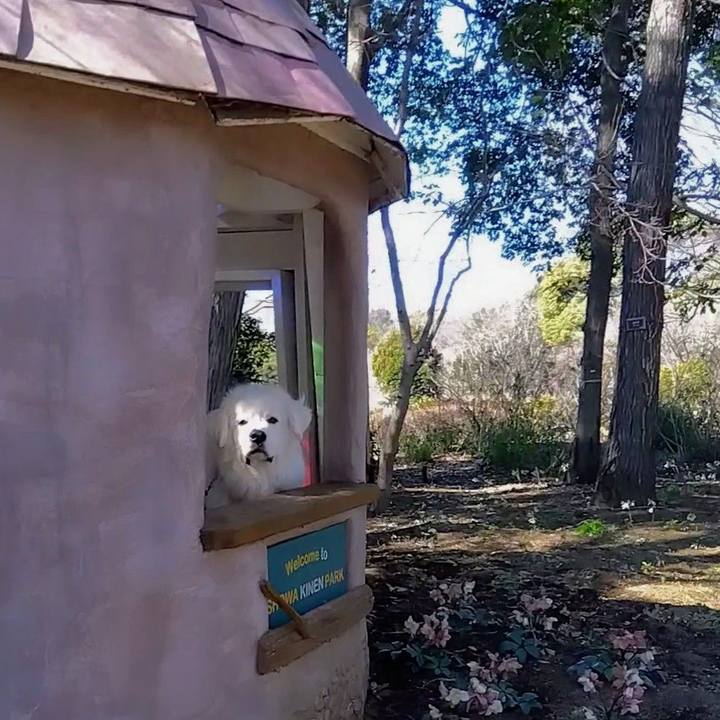 D3d456d6 c96b 487b b16b 94ad9f74fe6b 1676590611990