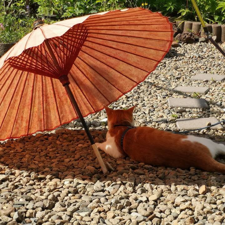 D3d45e8f 1ac3 405d b887 827117e91ffe 1558842494397