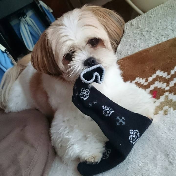 D3d47fc8 f389 4ef3 9336 e28e139f56e3 1507766978235