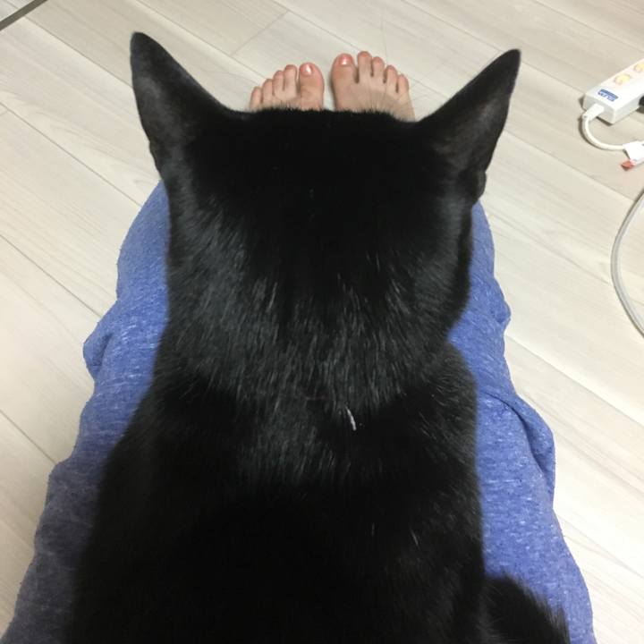 D3d49c8d 6279 47fd a3cd d826cf5ffadb 1510664135365