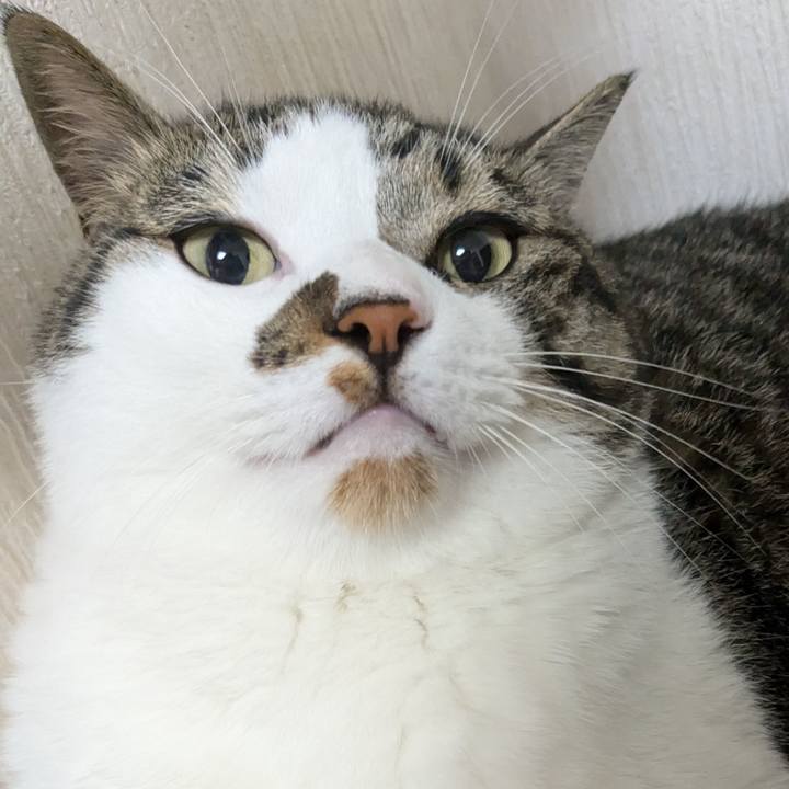 D3d4c87c 28ea 43f9 908e a4e376370276 1720689636560