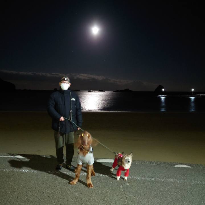 D3d501d5 e9a8 4f3c 8e64 bf859eda8880 1609928597120