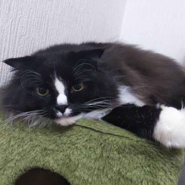 D3d51376 8b37 41ef bf64 1410b467ed86 1664283302225