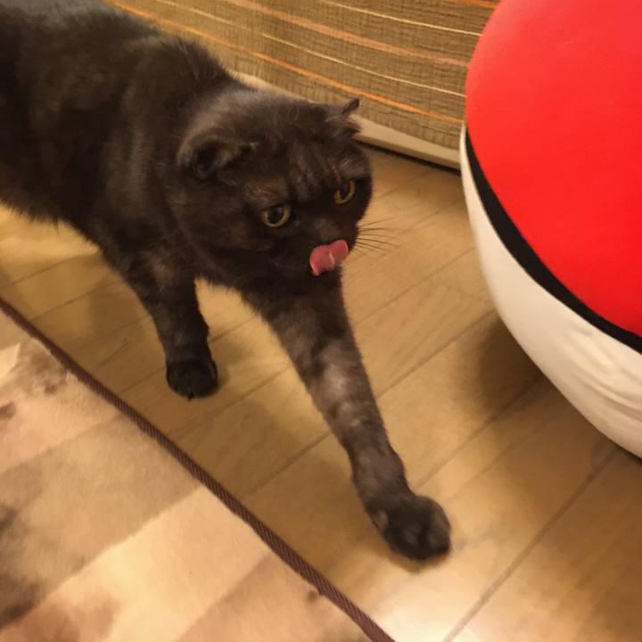 D3d53d00 9e61 4d67 a37c 567dfec1cc11 1577726231070