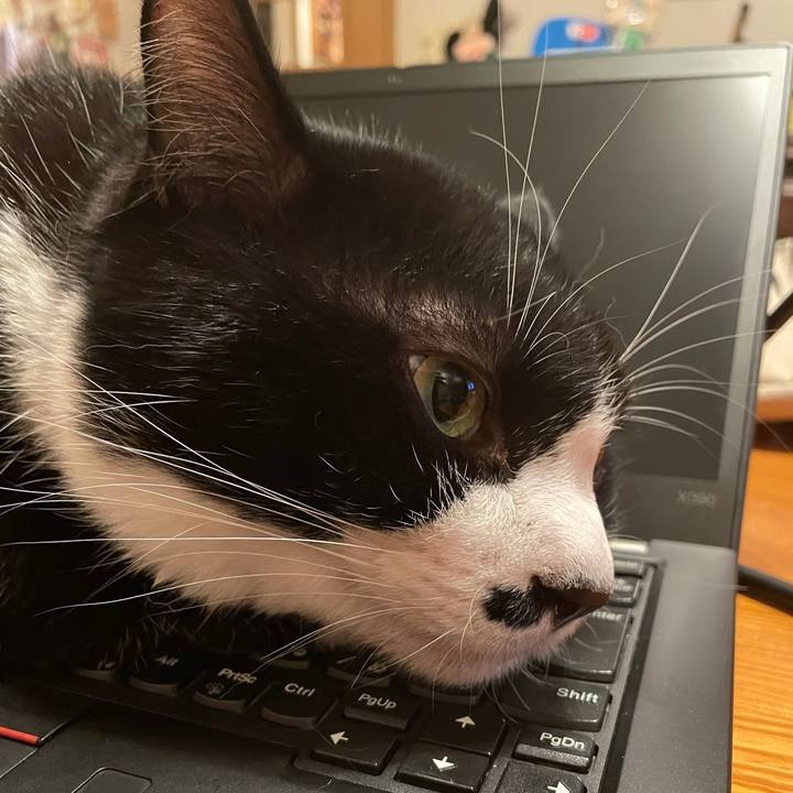 D3d53efb f877 40d0 a64a d985f2a68800 1695469418940