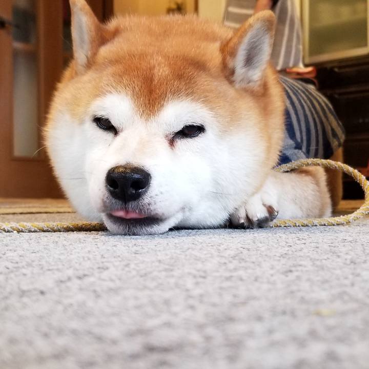 D3d56713 1203 4edc 89a6 651a32ddaf3e 1575525854940