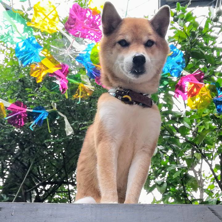 D3d5702d e405 499d 9a87 57b4c9426174 1594872854894