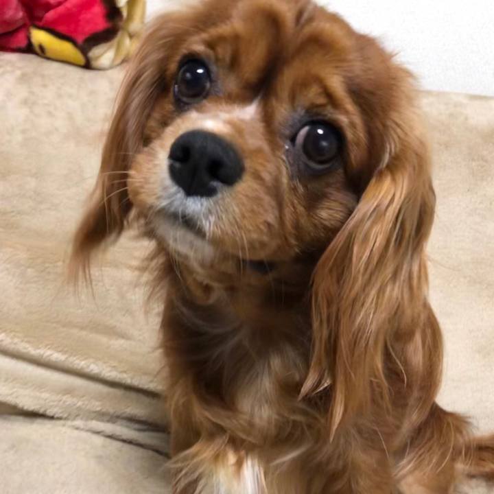 D3d57a08 0c11 4b99 9919 5a7f43f4be41 1554157841328