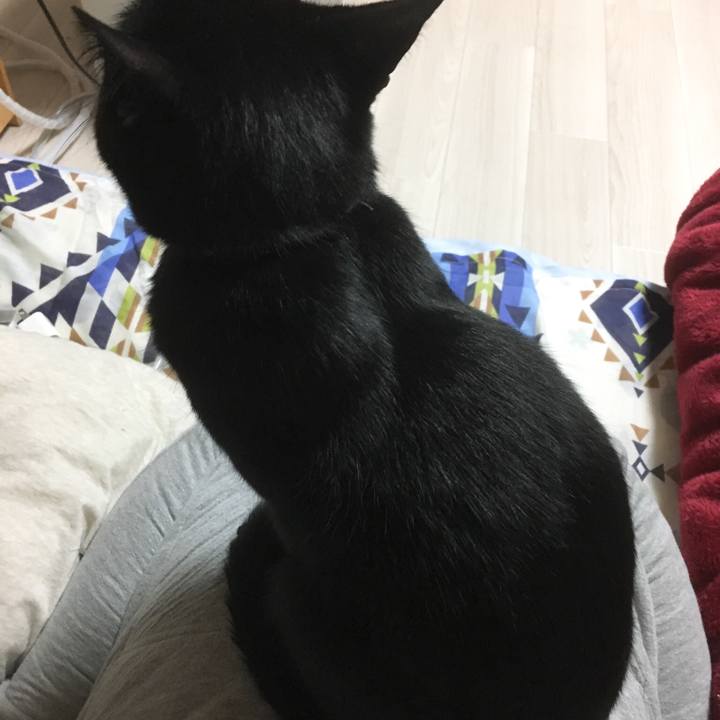 D3d5cf5f be48 4ee8 9f83 aa7dceeaa328 1508592018253