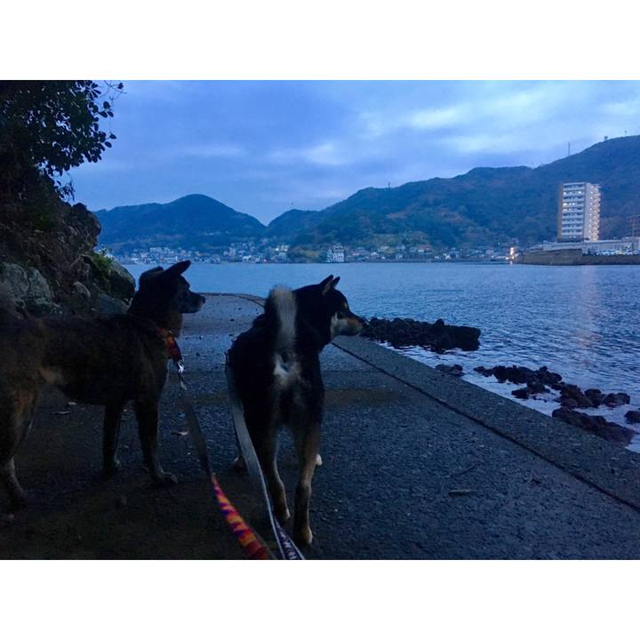 D3d601c5 7672 433f b8ba 750e996a997a 1543794253251