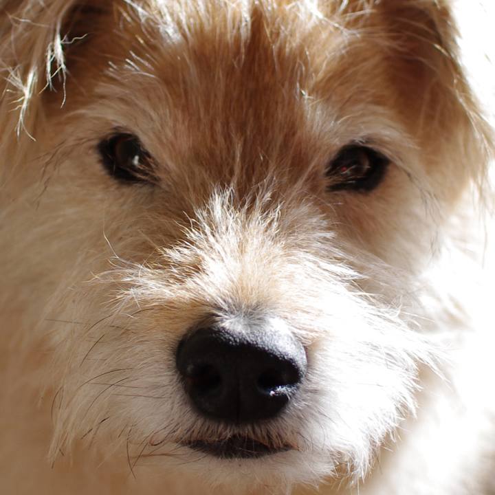 D3d6082a 74d9 45cf b4ca 642e0fea5c5b 1619820904504