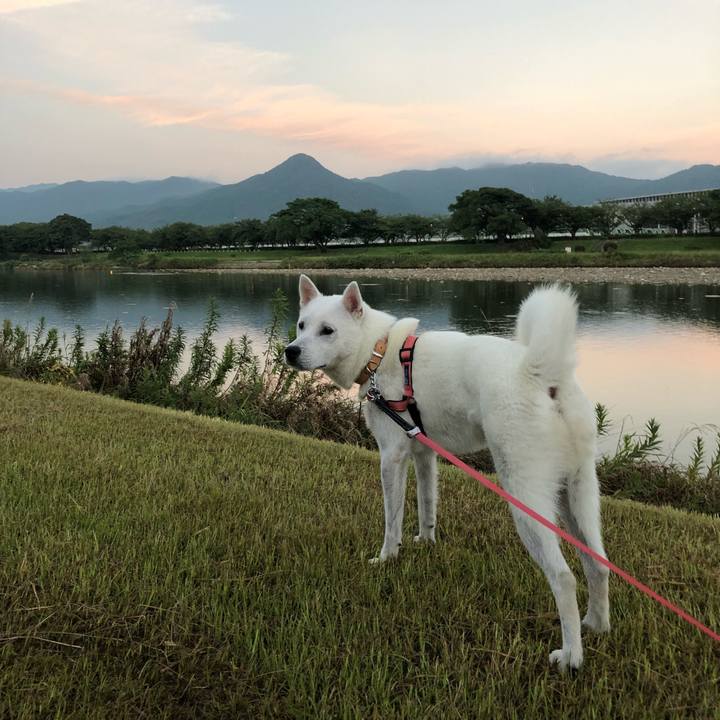 D3d62c3b 62e7 4266 84c2 19c84723cc1d 1531516705987