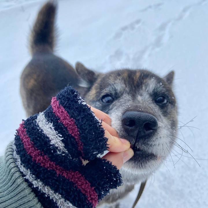 D3d6311b 04af 4bb3 baa7 b01b63da2379 1644188870731