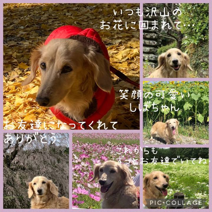 D3d6412d 6461 4e47 9541 a28a3a0d625c 1734435858319