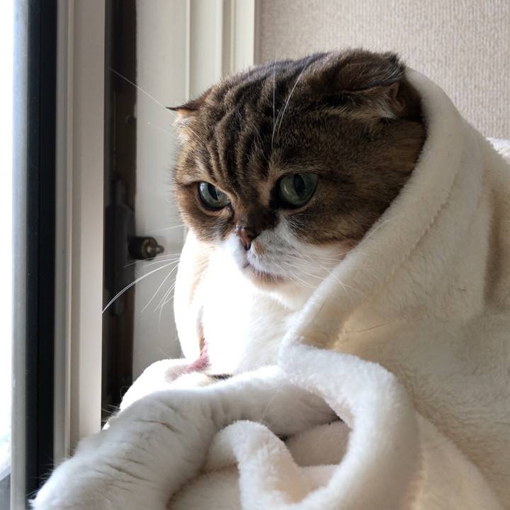 D3d649bf 4ef3 4d85 b381 1afc847176e6 1537935920270