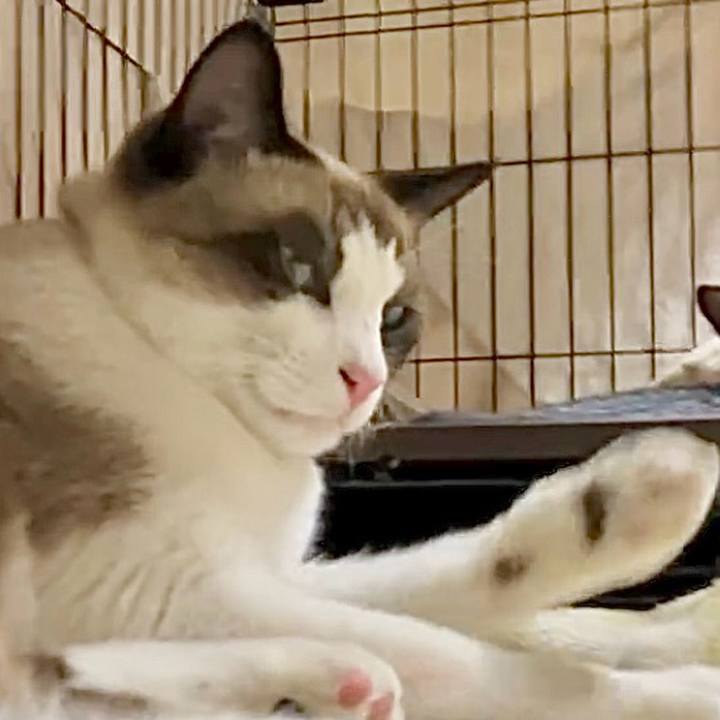 D3d65beb bc8e 4e0a af7c 3537ad13d77f 1729244470034