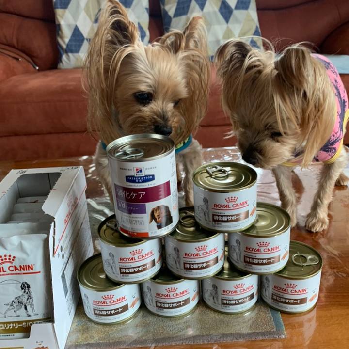 D3d665fb f055 4725 b8e6 dc774719b47e 1620900309731