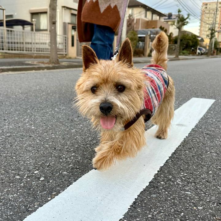 D3d678f8 1261 4864 bbb0 3abb47ea6492 1741529781571