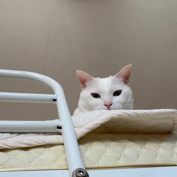 D3d6d461 cf0a 4a27 9e75 4eb136e67055 1603600820200