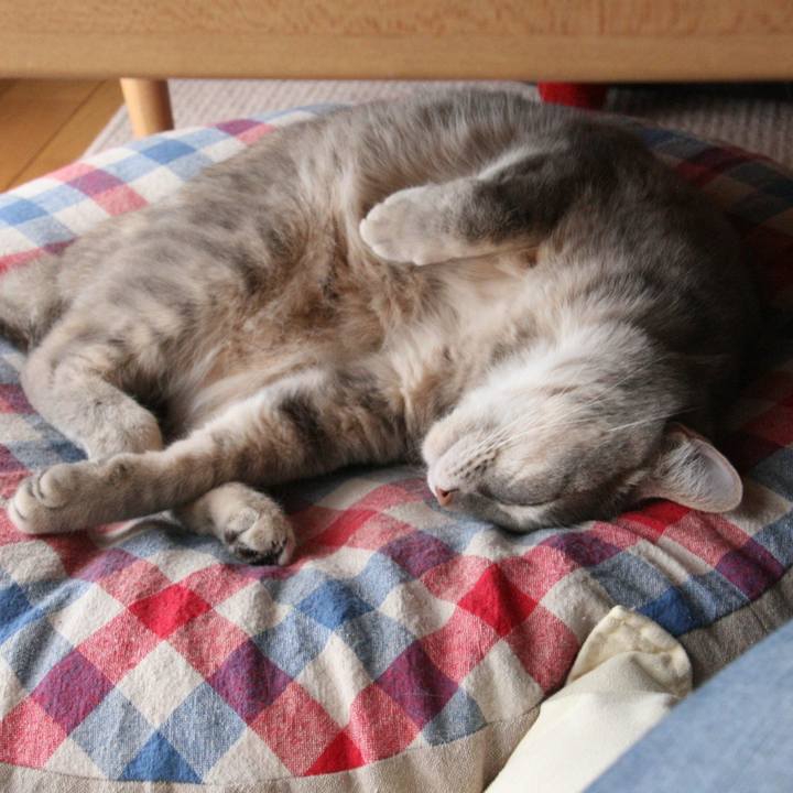 D3d6f06d 6209 4009 9289 49f5dbc3b5d0 1556609039583