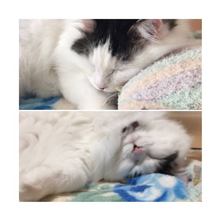 D3d700c4 374f 4b9b b73f 2cd881d16220 1540208231344