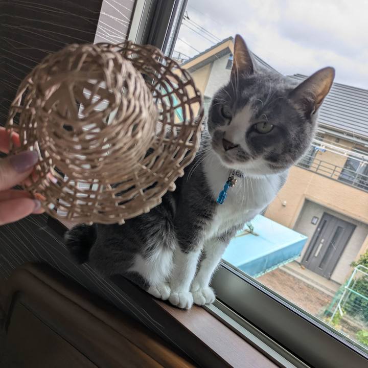 D3d71d88 faa9 4592 a5fe 432c8dbe6fff 1752633231542