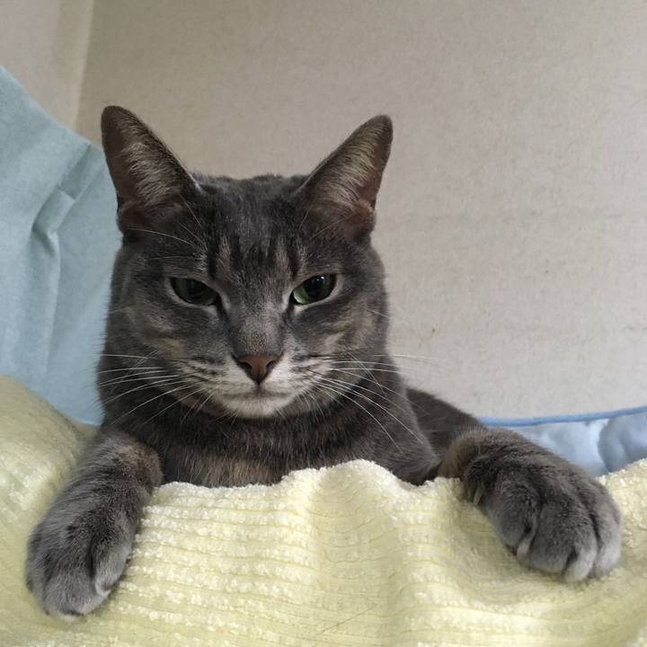 D3d7223d d06c 4396 8b27 2aa8726f1042 1571921501646