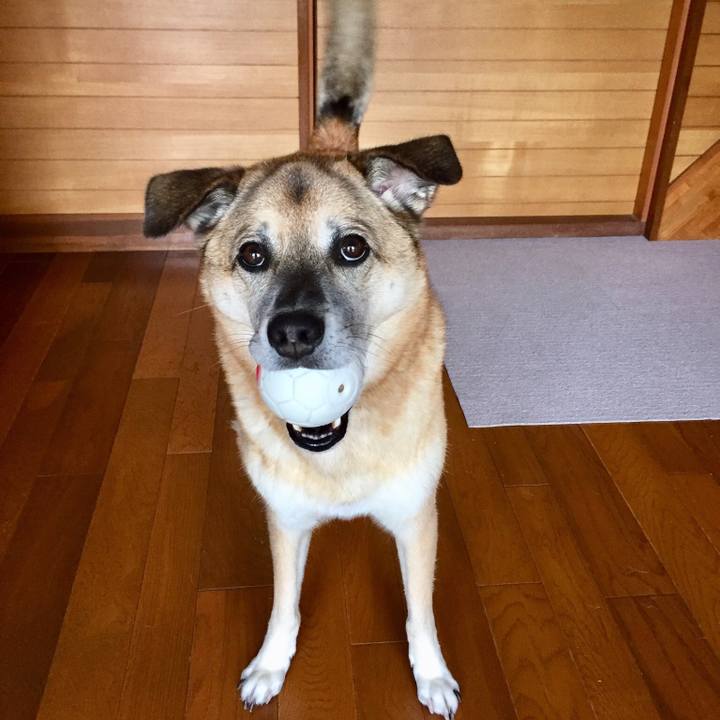 D3d7242c 6ad9 4bbf bb08 0b956c2c816a 1540946729314