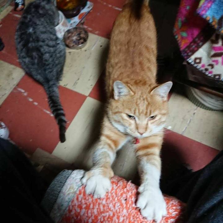 D3d726b2 5ce7 46f8 a946 b6d6b4a537a3 1575056594650