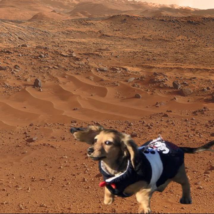 D3d77265 bafb 4139 99bd 11428aab7989 1614256058984