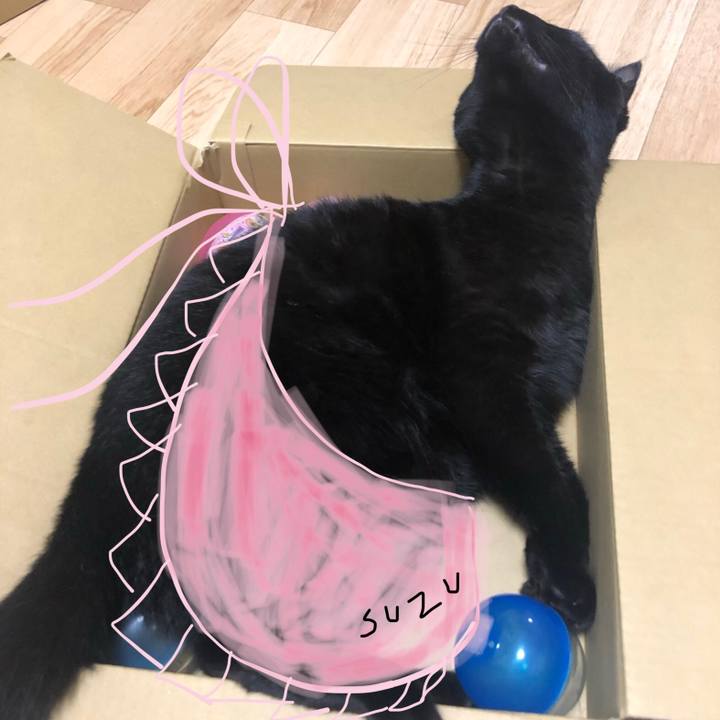 D3d7a0c1 3429 4ebe 8a00 a02a7bf9a44f 1565959200706