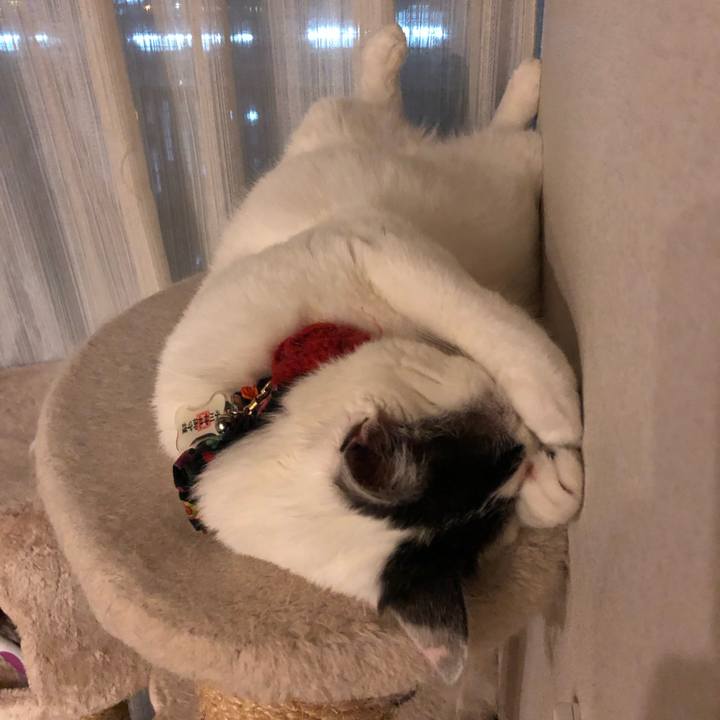 D3d7afc2 5c1f 409c 9331 72946d31e6bf 1527604771578