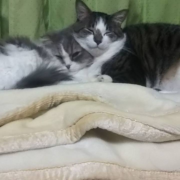 D3d7c322 6142 4cde 8416 c0a7b1377039 1640573771529