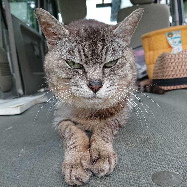 D3d7cf6d fdb4 4c43 9777 c47e15b7b7f2 1595668284614