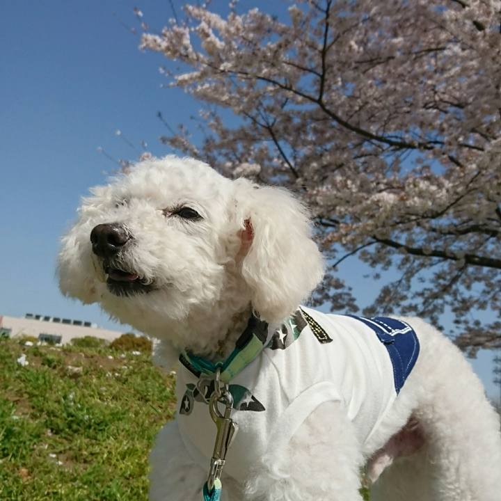 D3d7dd44 9a16 4196 b4dd 35da92192beb 1522463897706