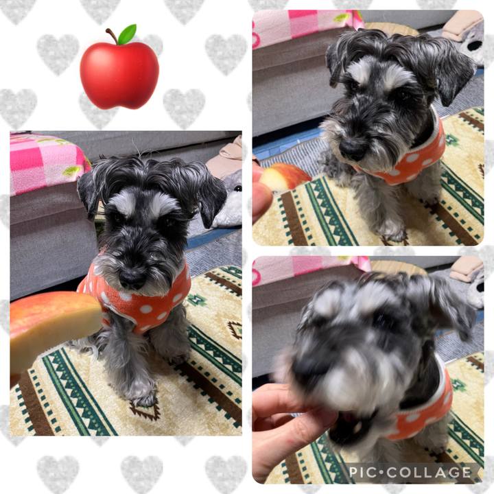 D3d7f9f8 4d65 4382 b8d0 04f9a365892f 1735640083732