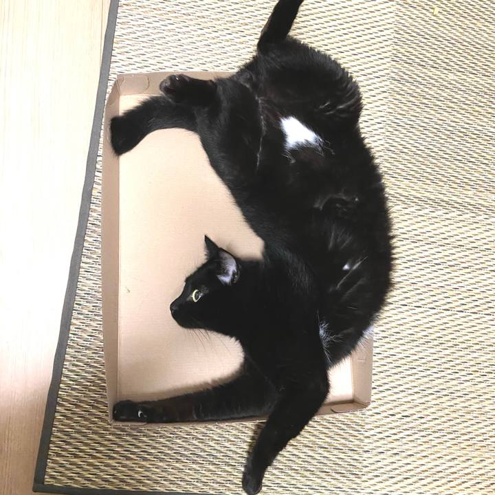 D3d808d7 34c0 477f 9816 67b886d1bd5a 1657625486898