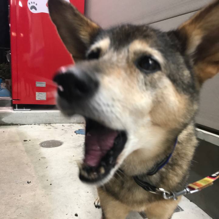 D3d80aaf e4dc 4dcc 9c79 7122ae69f686 1538048345854