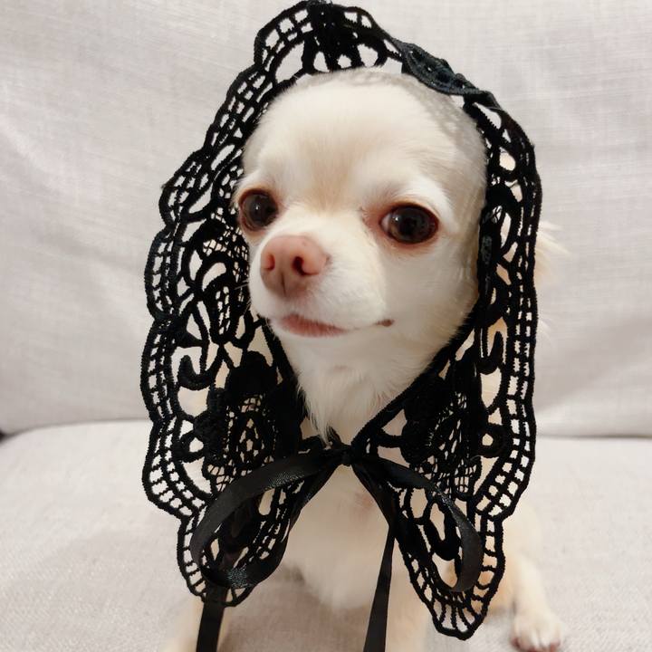 D3d80f4e 1ea3 404c 84e1 9f9d3bca2130 1717513166108