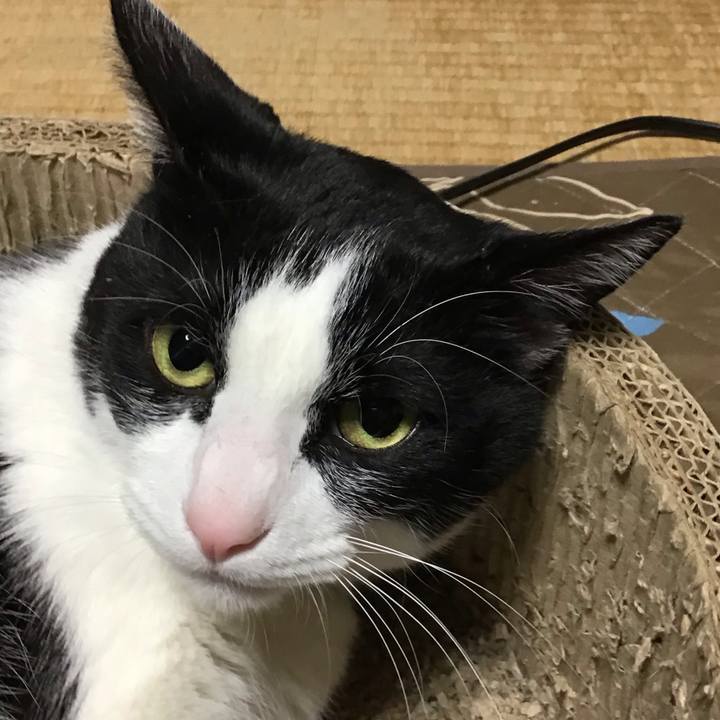 D3d81d33 157b 4aa9 af1d 87e65b0dd31b 1742039054069